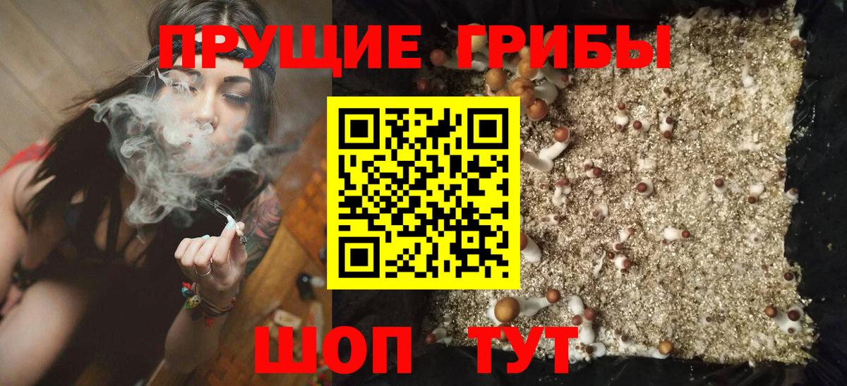 Псилоцибиновые грибы ЛСД  Вход с VPN  Галлюциногенные грибы GOLDEN TEACHER  цены наркотик  Старая Купавна 